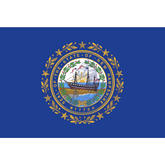 New Hampshire State Flag